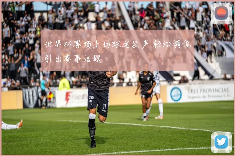 世界杯赛场上伪球迷发声 轻松调侃引出赛事话题