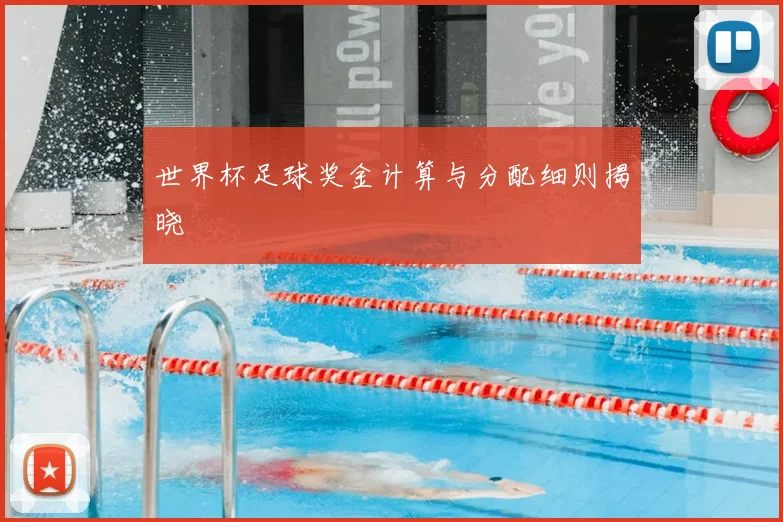 世界杯足球奖金计算与分配细则揭晓